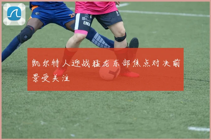 凯尔特人迎战猛龙东部焦点对决前景受关注